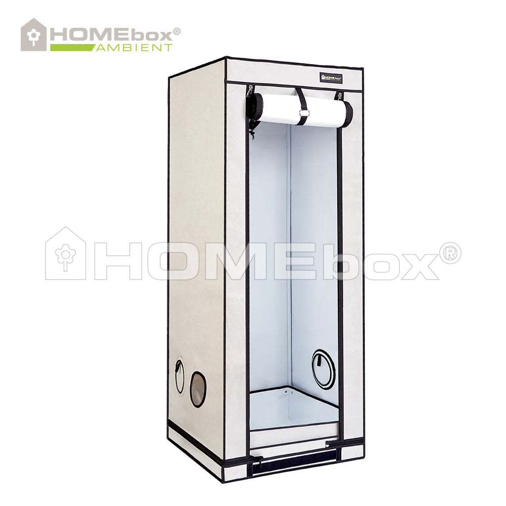 HomeboxAmbientQ60-2_c1aedb7c-6310-44b3-9c06-587dcc54d65d.jpg