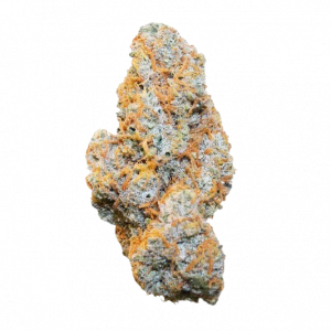 Apple Fritter Auto
