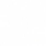 Einsteiger Icon Cannajoy